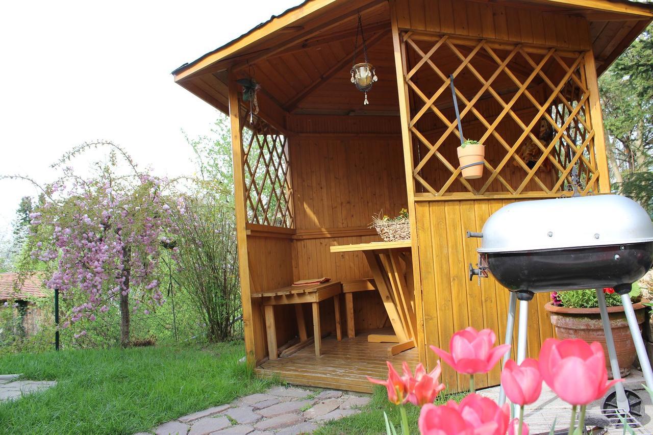 Haus Koblizek Apartment Waldkirchen Ngoại thất bức ảnh
